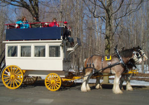 Omnibus